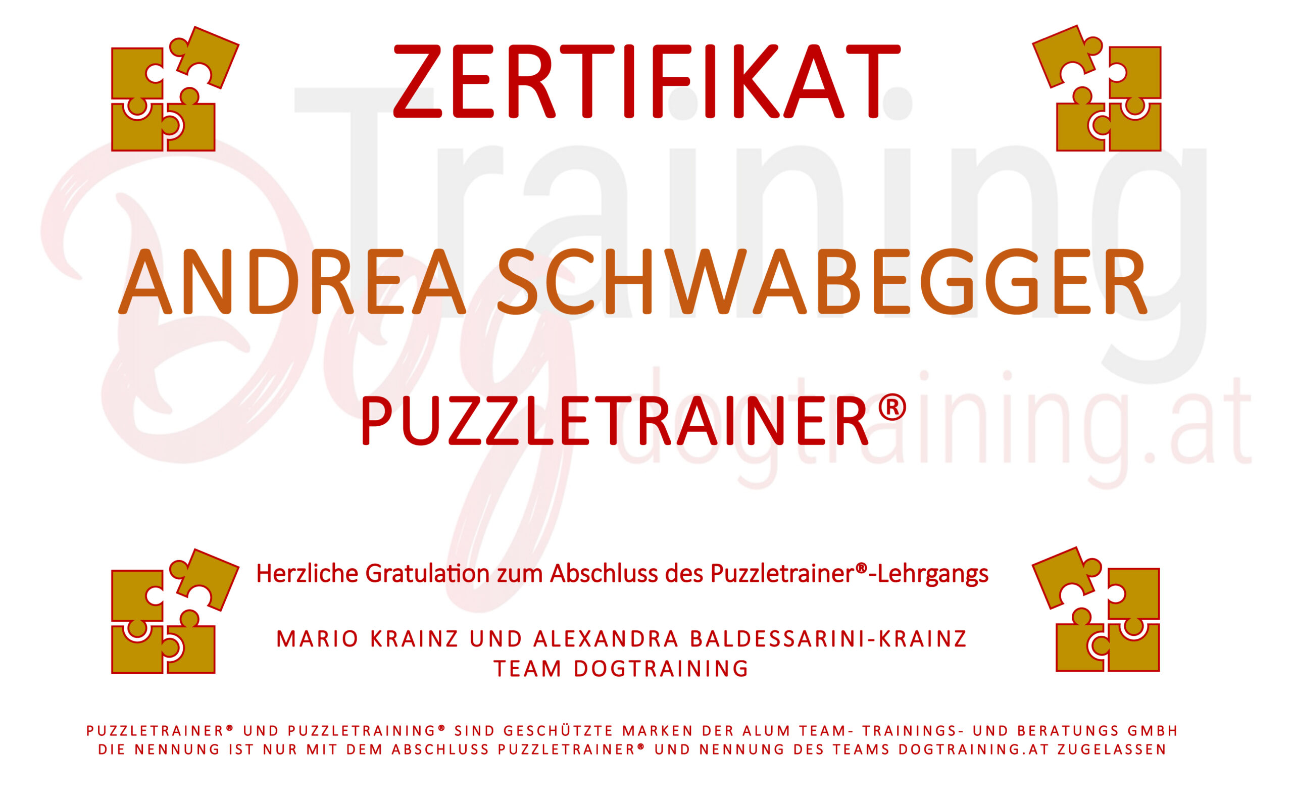 Puzzletrainer Zertifikat